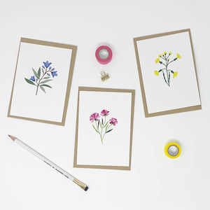 Pack of 6 Illustrated Flower Cards