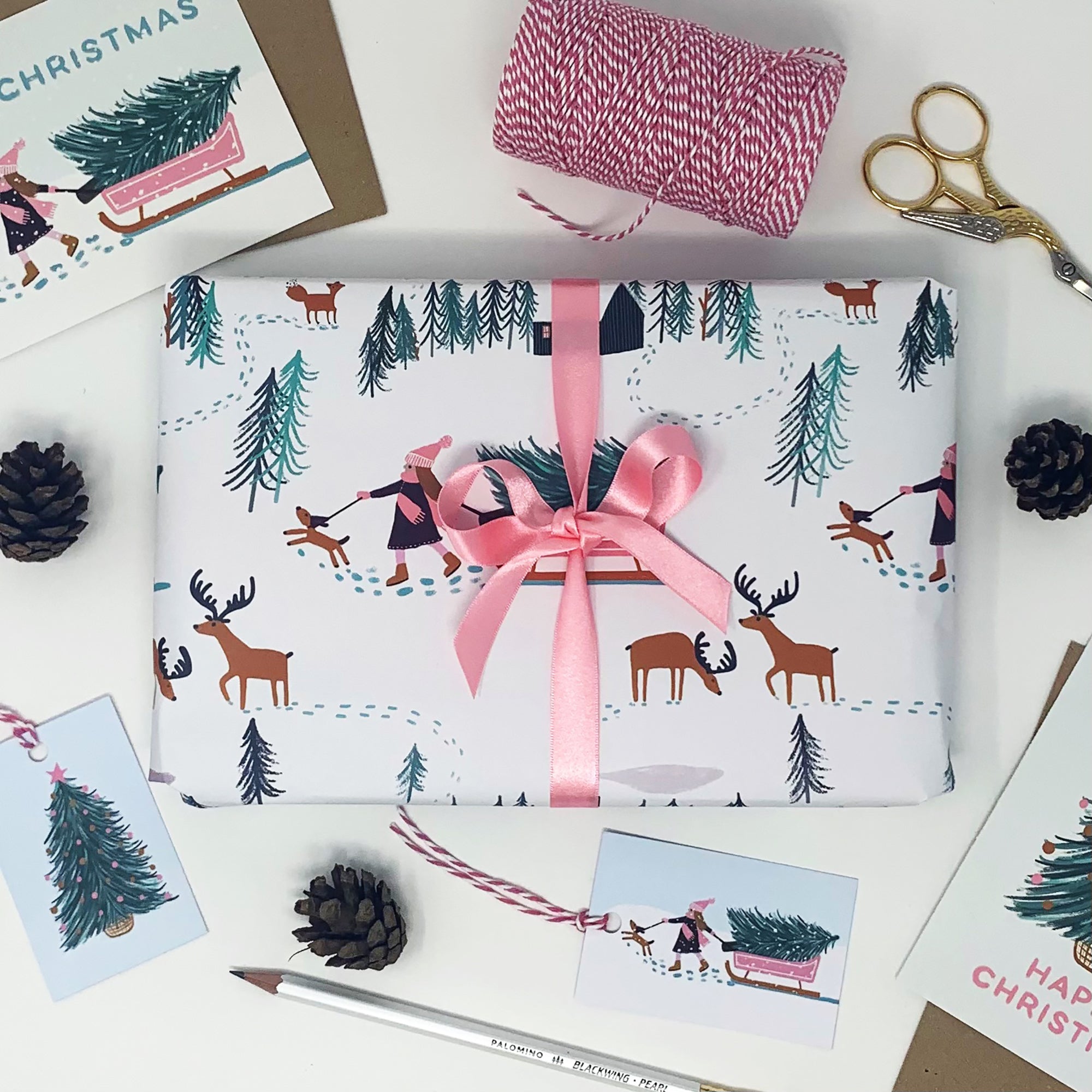 Christmas Winter Scene Gift Wrap & Tags