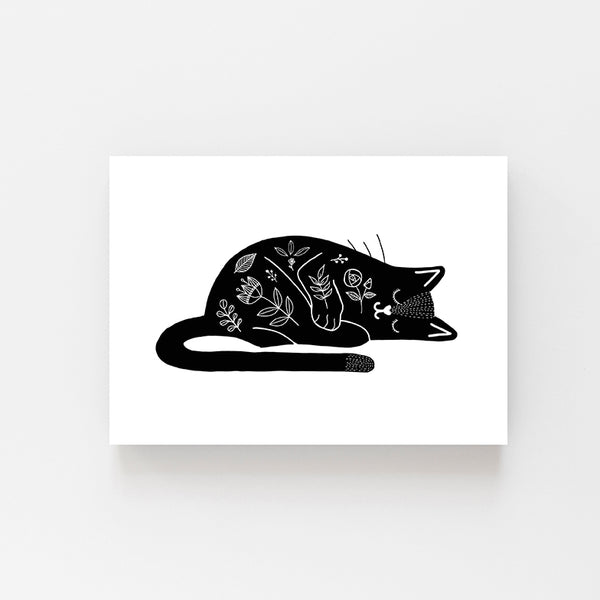 SALE Cat Postcards - Set of 6 ink drawings